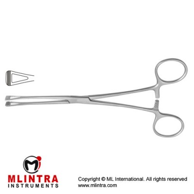 Scheibe (Collin) Atrauma Organ Grasping Forceps Narrow Jaw Stainless Steel, 18 cm - 7"